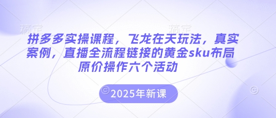 拼多多实操课程，飞龙在天玩法，真实案例，直播全流程链接的黄金sku布局原价操作六个活动-智联云境网络科技工作室