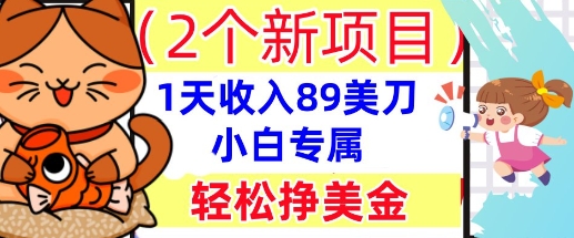 2个新项目，轻松挣美金， 1天收入89美刀，小白专属，干货分享-智联云境网络科技工作室