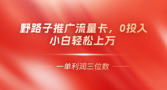 0门槛推广流量卡，一单收益上百，0投入，小白月入过W-智联云境网络科技工作室