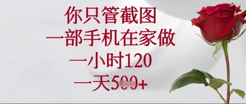 你只管截图,一部手机在家操作,一小时120.一天5张【揭秘】-智联云境网络科技工作室